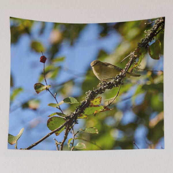 Item preview, Too hungry for chiff or chaff. Chiffchaff designed and sold by Jouko Lehto Photography.