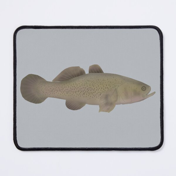 Item preview, Sleepy Cod designed and sold by fishfolkart.