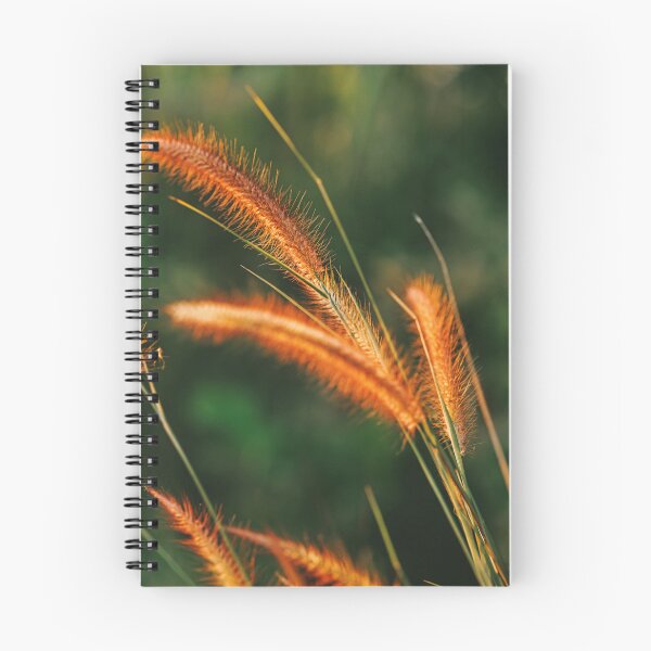 Item preview, Spikelets photo poster designed and sold by AhArtMe.
