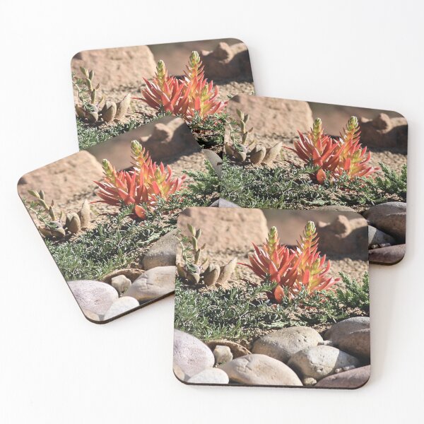 Item preview, Rocky Garden designed and sold by heatherfriedman.