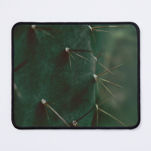 Item preview, Cactus photo poster designed and sold by AhArtMe.