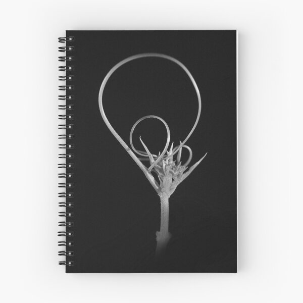 Item preview, Loop the loop. designed and sold by Paul Pasco.