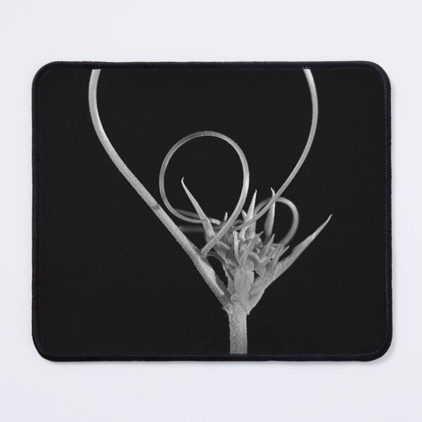 Item preview, Loop the loop. designed and sold by Paul Pasco.