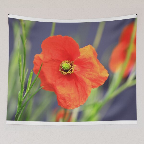 Item preview, poppy designed and sold by Falko-Follert.