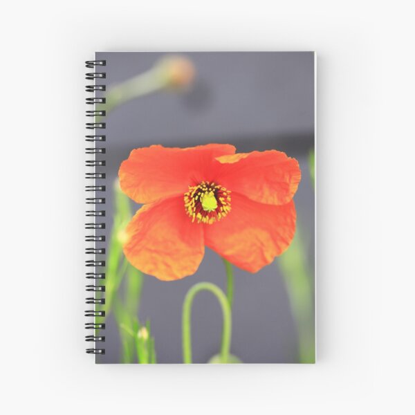 Item preview,  poppy designed and sold by Falko-Follert.