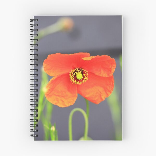 Item preview,  poppy designed and sold by Falko-Follert.