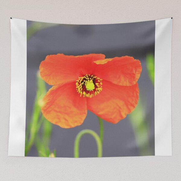 Item preview,  poppy designed and sold by Falko-Follert.