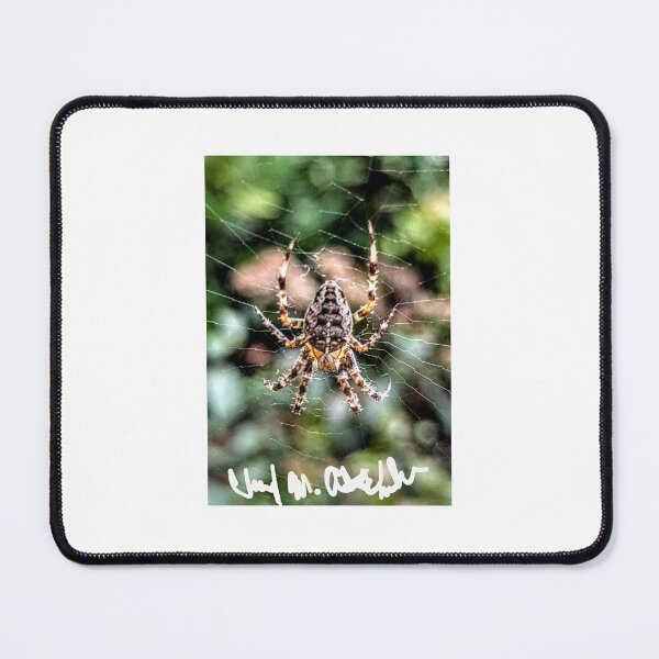 Item preview, Spider designed and sold by Cheryl Altschuler.