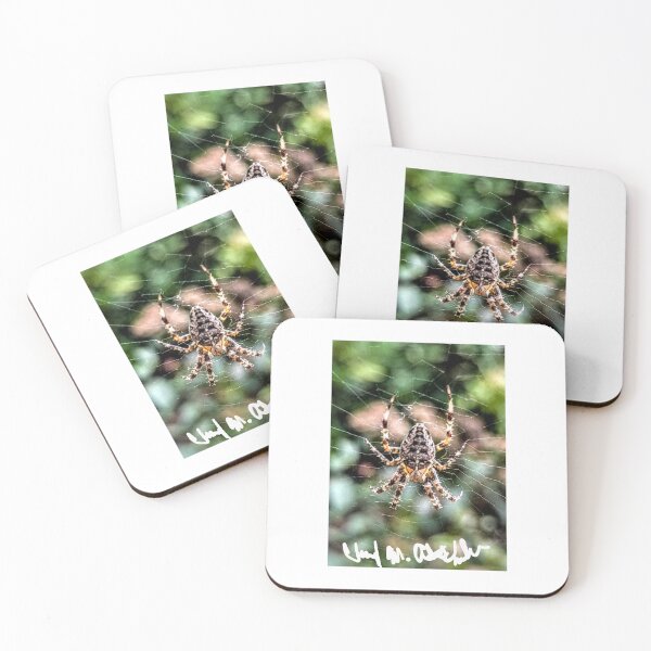 Item preview, Spider designed and sold by Cheryl Altschuler.