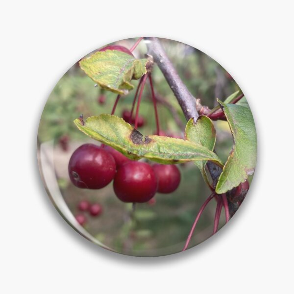 Item preview, Crabapple designed and sold by chelsea125.