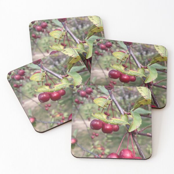 Item preview, Crabapple designed and sold by chelsea125.