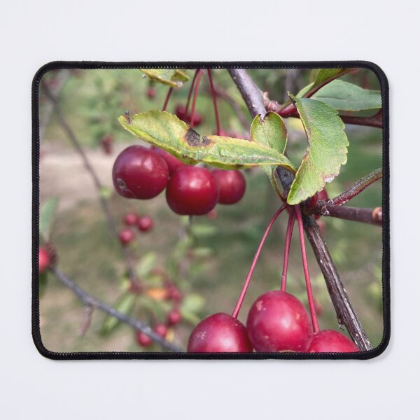 Item preview, Crabapple designed and sold by chelsea125.