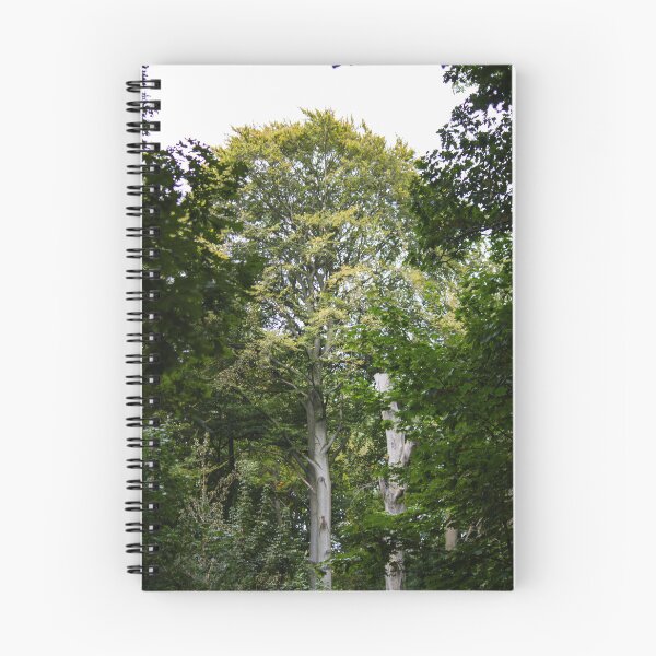 Item preview, Majestic tree in the forest designed and sold by rhosbahu.