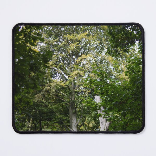 Item preview, Majestic tree in the forest designed and sold by rhosbahu.
