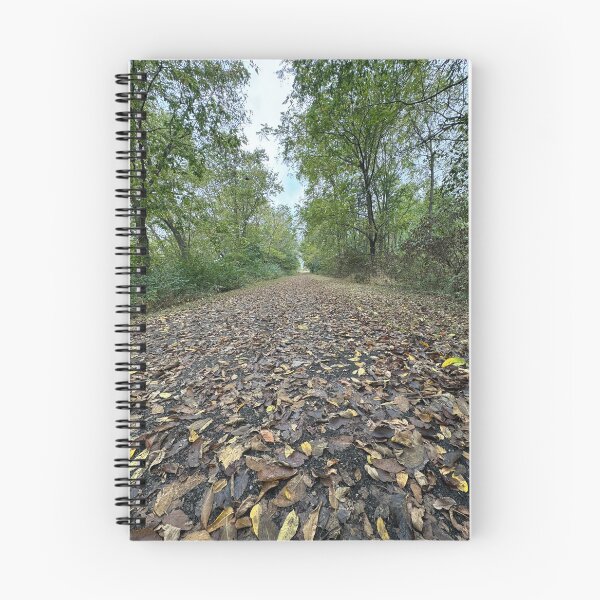 Item preview, The path less traveled designed and sold by Roger Neff.
