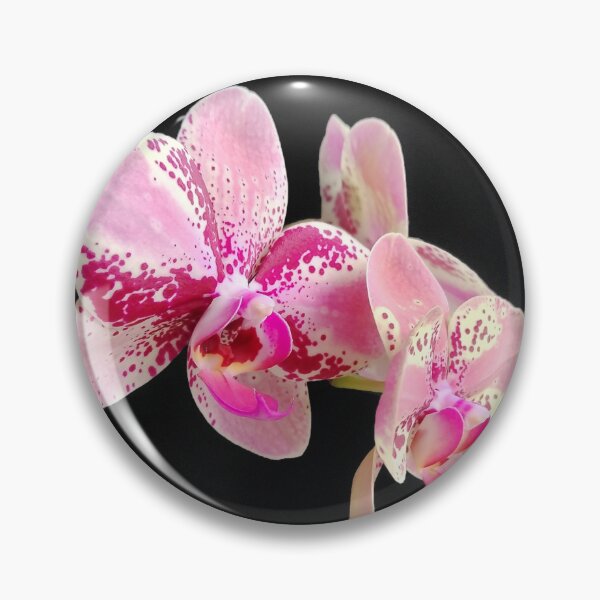 Item preview, Orchids designed and sold by enrikepaz.