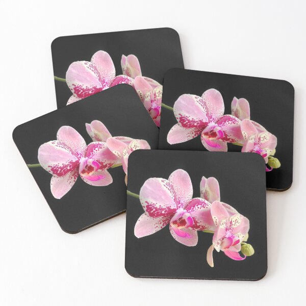 Item preview, Orchids designed and sold by enrikepaz.