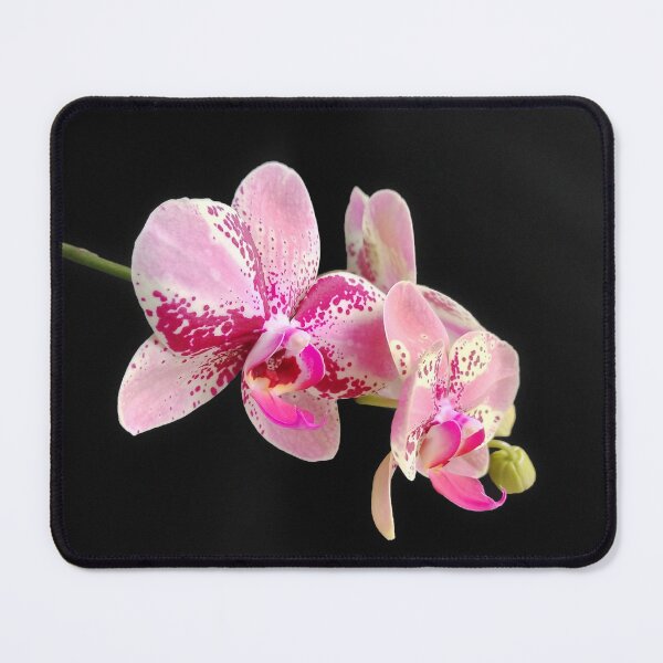Item preview, Orchids designed and sold by enrikepaz.