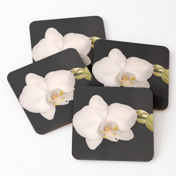 Item preview, White Orchid designed and sold by enrikepaz.