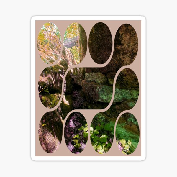 Item preview, BC Forest Photograph with Vintage Abstract Framing designed and sold by DandelionTee.