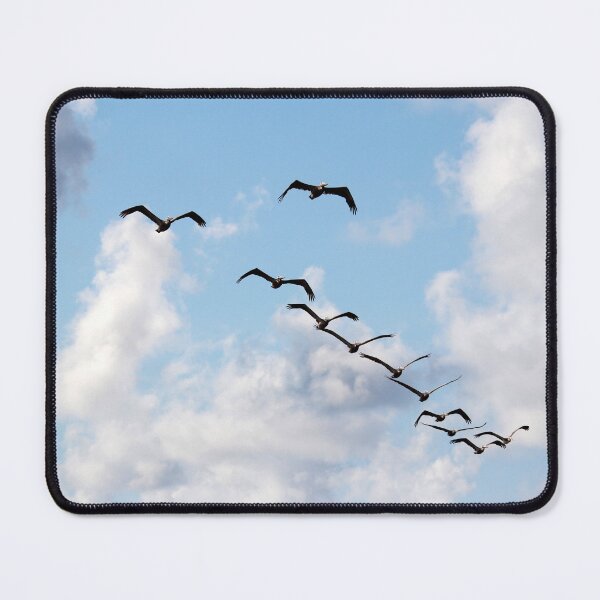Item preview, V-shaped Flying Pelicans designed and sold by Cynthia48.