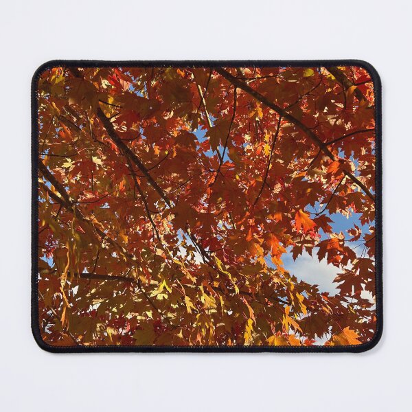Item preview, Fall leaves designed and sold by Lauracolleen3.