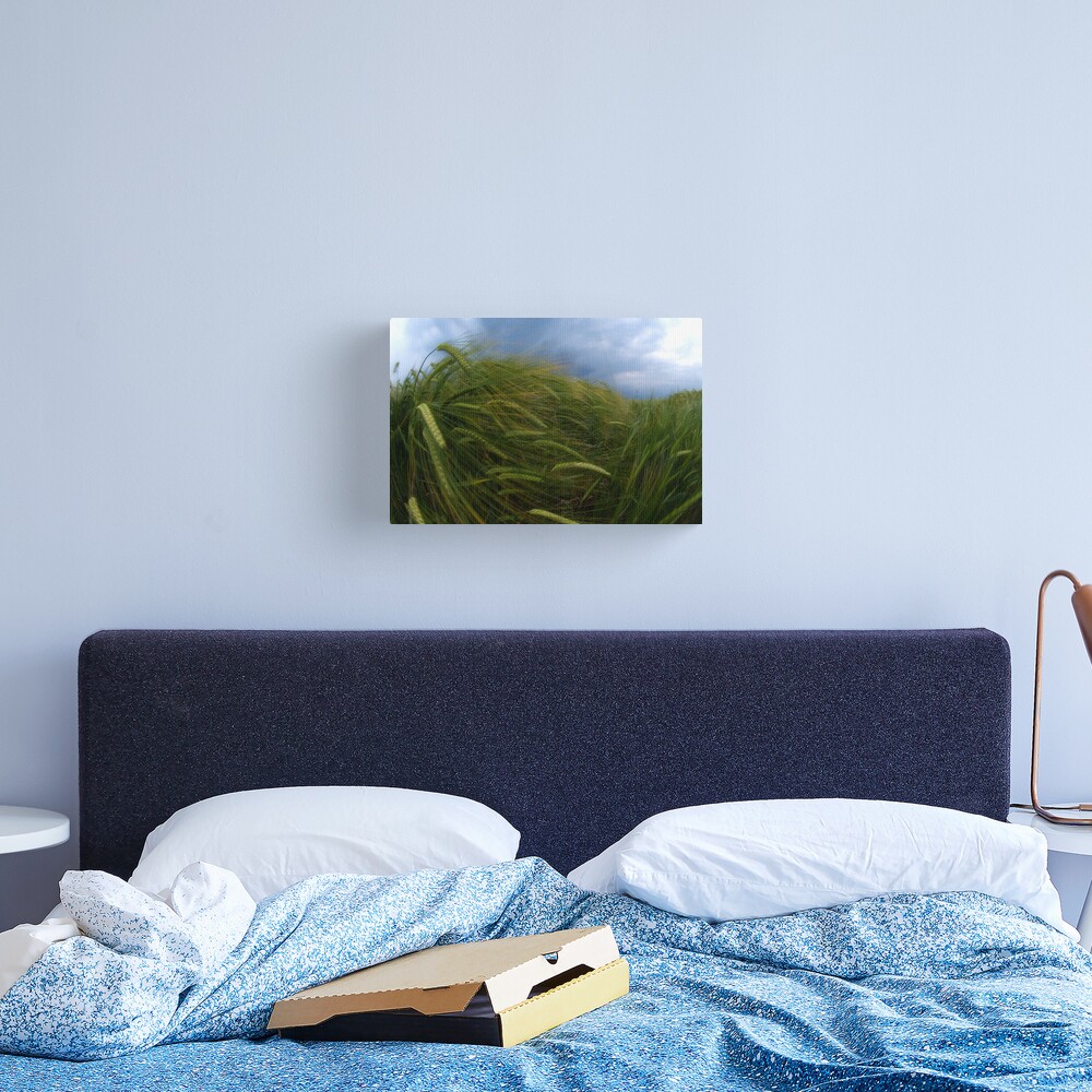 Waves Canvas Print