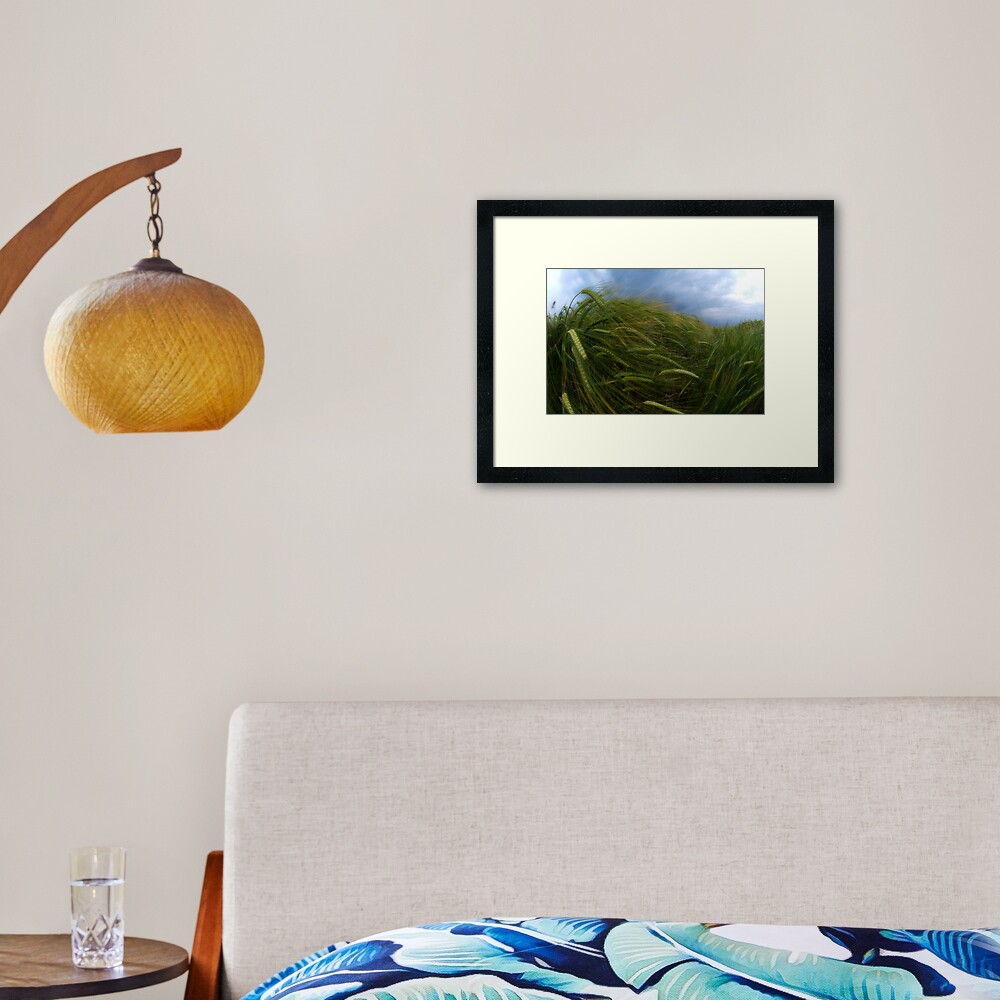 Item preview, Framed Art Print designed and sold by tontoshorse.