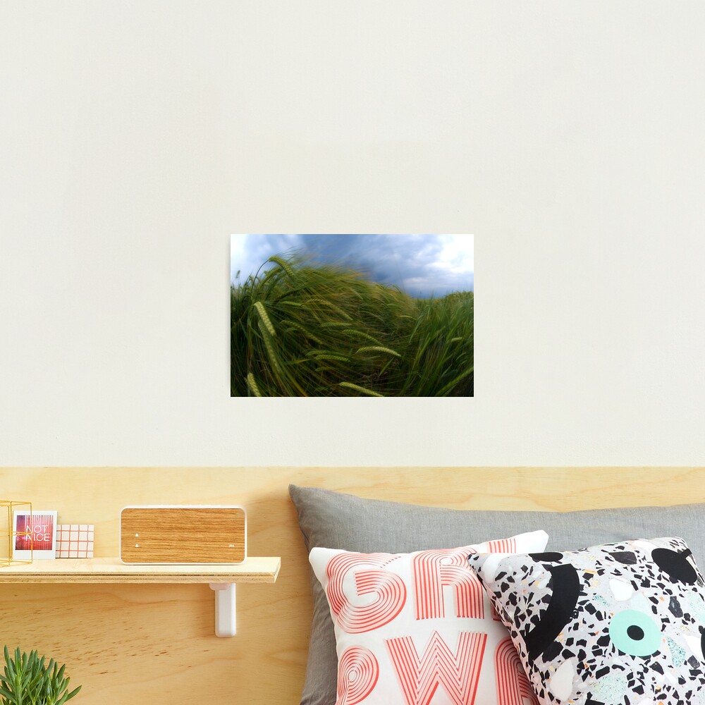 Waves Photographic Print