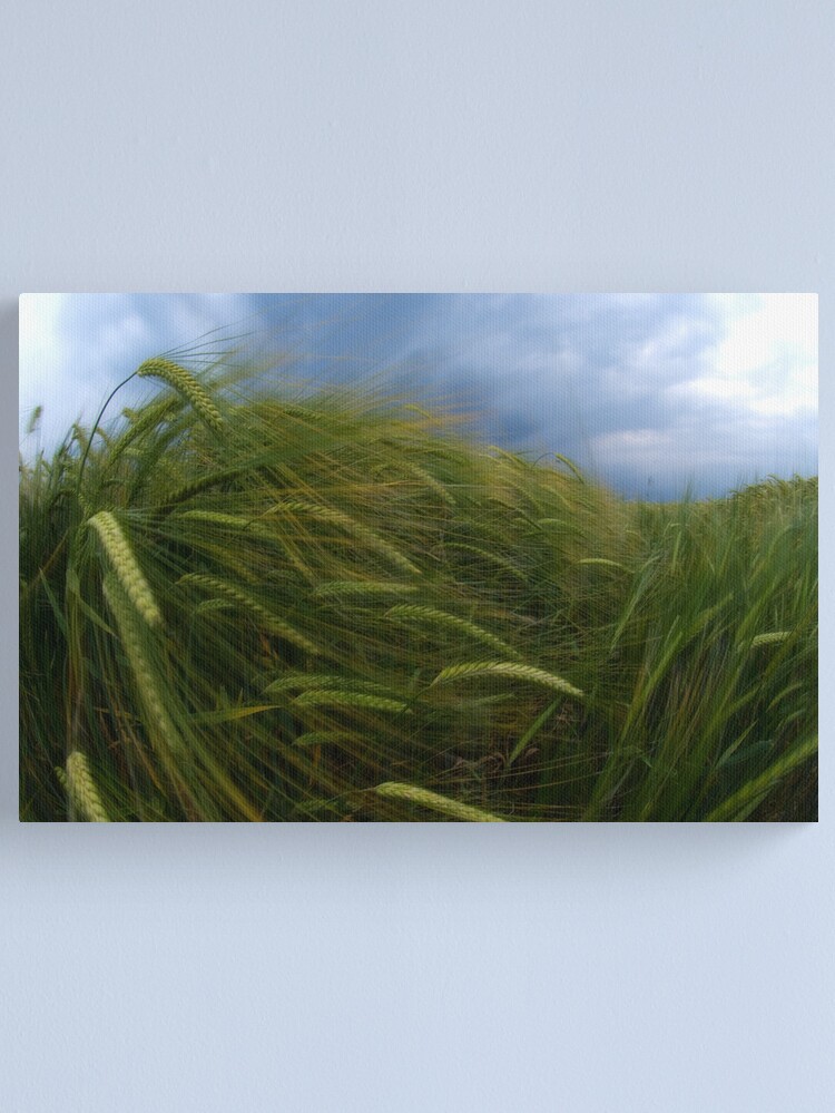 Alternate view of Waves Canvas Print