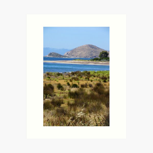 Item preview, The Bluff - Victor Harbor - South Australia by Avril Thomas designed and sold by AvrilThomasart.
