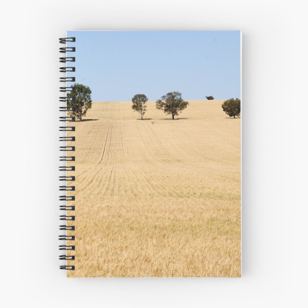 Item preview, Wheat Field by Avril Thomas photography - South Australian Artist designed and sold by AvrilThomasart.