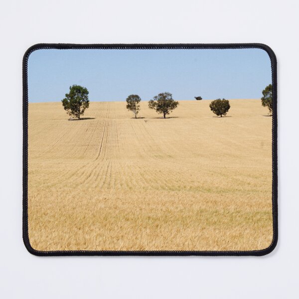 Item preview, Wheat Field by Avril Thomas photography - South Australian Artist designed and sold by AvrilThomasart.