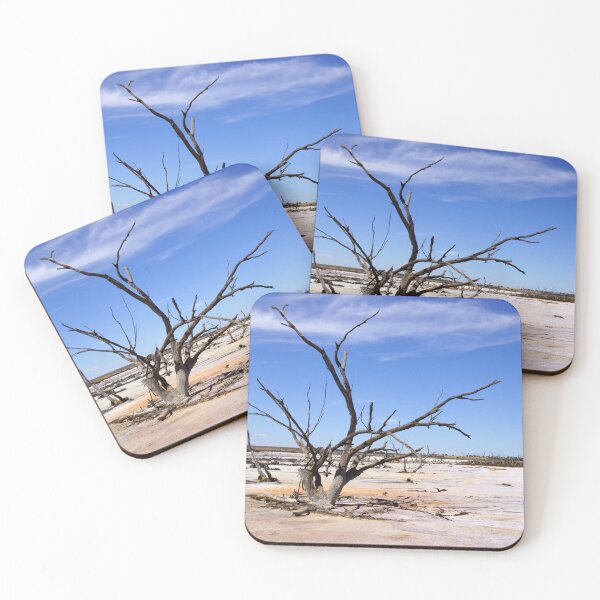 Item preview, Dry Salt Pan and Dead Tree - Photography by Avril Thomas designed and sold by AvrilThomasart.
