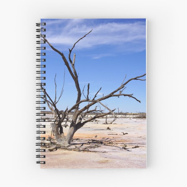 Item preview, Dry Salt Pan and Dead Tree - Photography by Avril Thomas designed and sold by AvrilThomasart.
