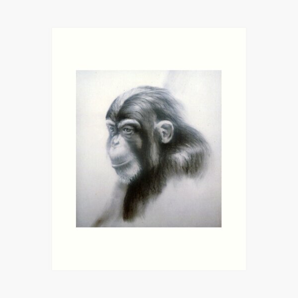Item preview, Chimp - Drawing by Avril Thomas - Adelaide Artist designed and sold by AvrilThomasart.