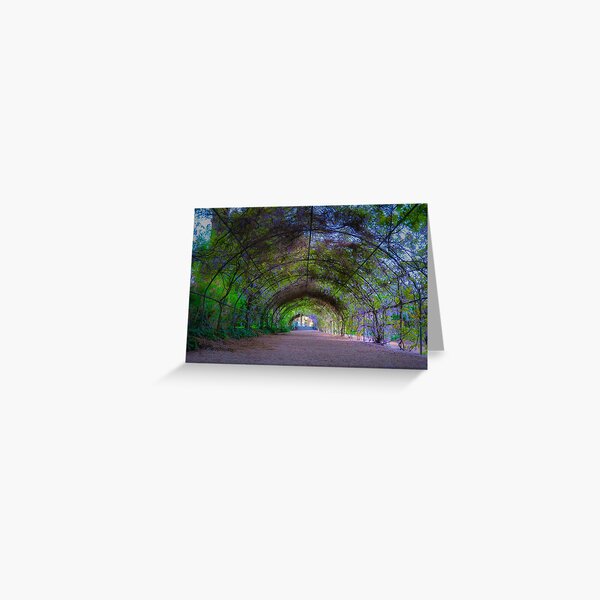 Item preview, Purple Archway - Adelaide Botanic gardens designed and sold by LMKphotography.