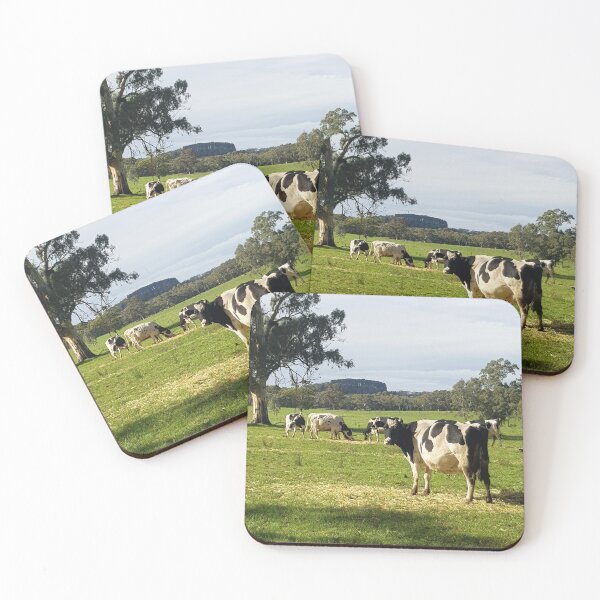Item preview, Holstein Friesians - Dairy Cows - photography by Avril Thomas designed and sold by AvrilThomasart.