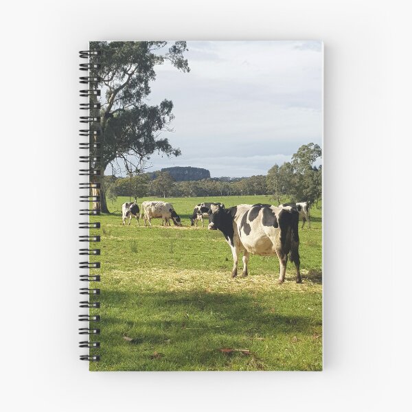 Item preview, Holstein Friesians - Dairy Cows - photography by Avril Thomas designed and sold by AvrilThomasart.