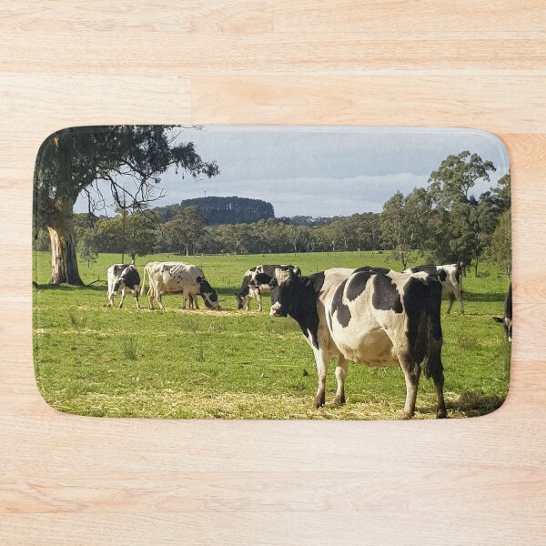 Item preview, Holstein Friesians - Dairy Cows - photography by Avril Thomas designed and sold by AvrilThomasart.