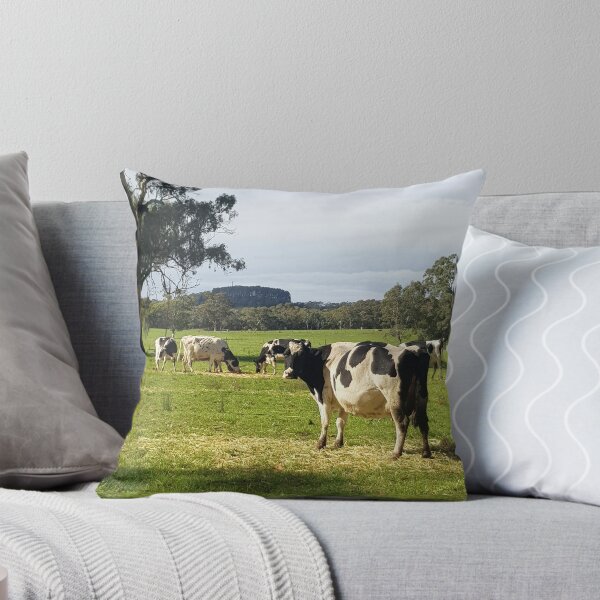 Holstein Friesians - Dairy Cows - photography by Avril Thomas Throw Pillow