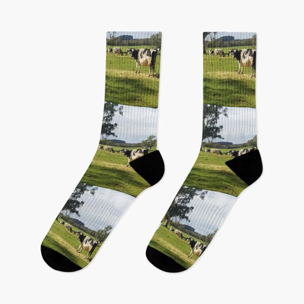 Item preview, Holstein Friesians - Dairy Cows - photography by Avril Thomas designed and sold by AvrilThomasart.