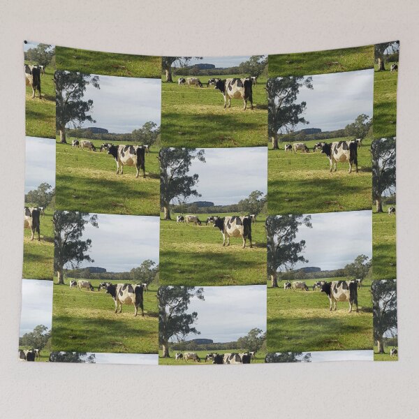 Item preview, Holstein Friesians - Dairy Cows - photography by Avril Thomas designed and sold by AvrilThomasart.