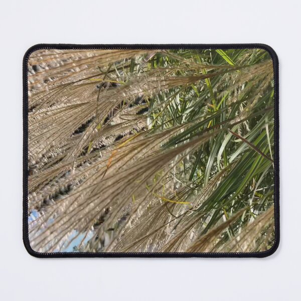 Item preview, Autumn Grasses designed and sold by Amanda1775.