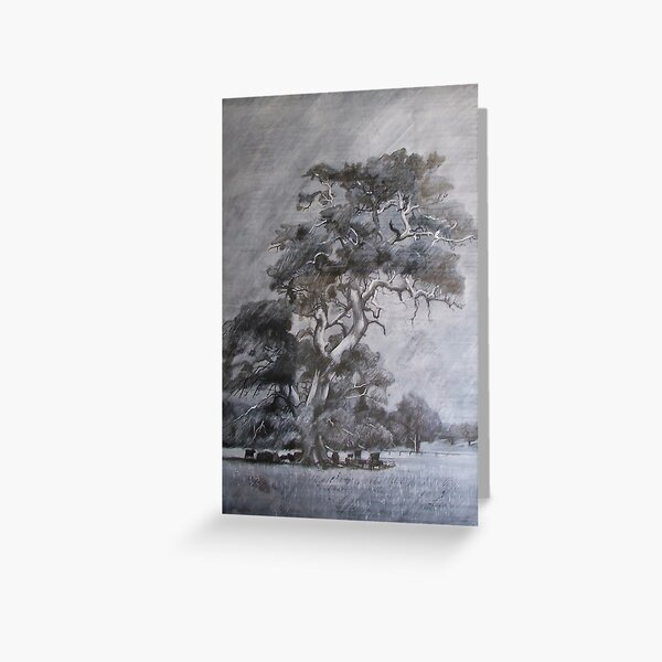 My Tree - Drawing by Avril Thomas - Adelaide / South Australia Artist Near Inman Valley South Australia Greeting Card