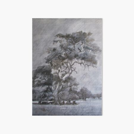 My Tree - Drawing by Avril Thomas - Adelaide / South Australia Artist Near Inman Valley South Australia Art Board Print