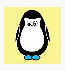 Hugo the penguin Photographic Print