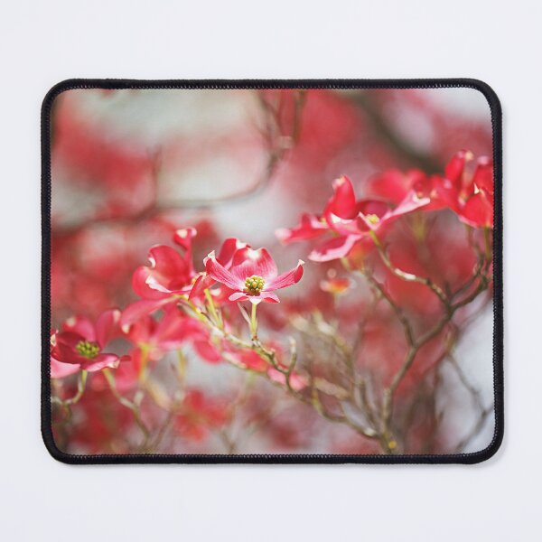 Item preview, Soft As The Dogwood Flowers designed and sold by Joy Watson - Natural Light Photography .