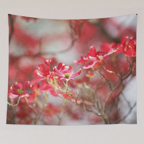 Item preview, Soft As The Dogwood Flowers designed and sold by Joy Watson - Natural Light Photography .