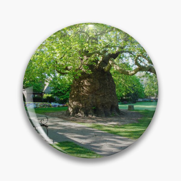 Item preview,   Canterbury Westgate Gardens designed and sold by Alisonchambers2.